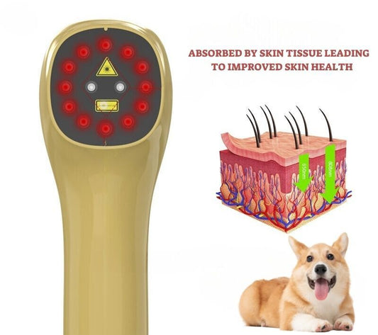 Cold Laser Therapy Device pet b5 2