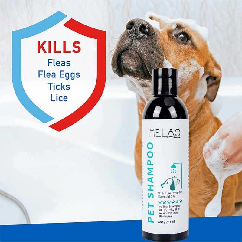 Pet Shampoo & Conditioner kickpet