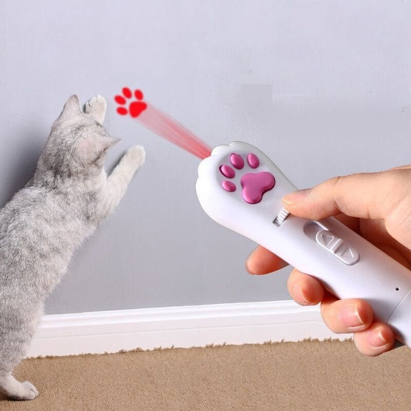 USB  Led Laser Toy kickpet