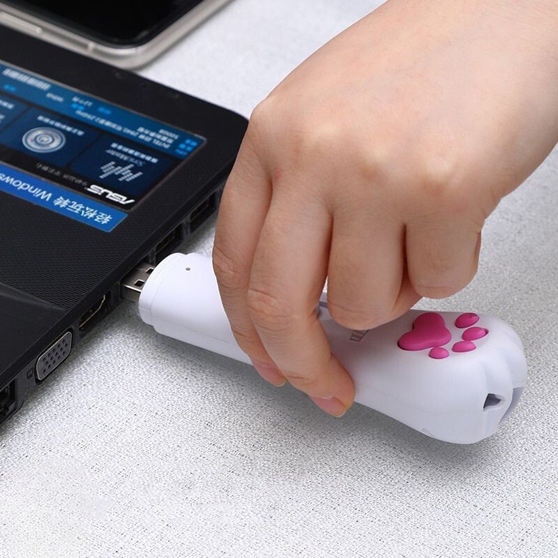 USB  Led Laser Toy kickpet