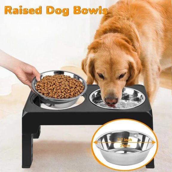 Dog Elevated Feeder- Stainless Steel kickpet