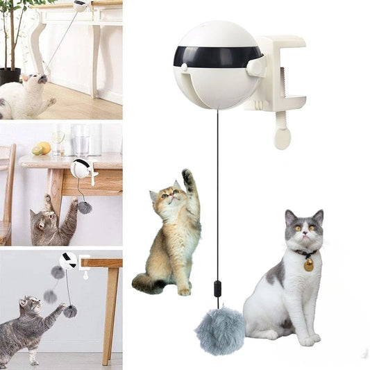 Electric Lifting Cat Ball kickpet