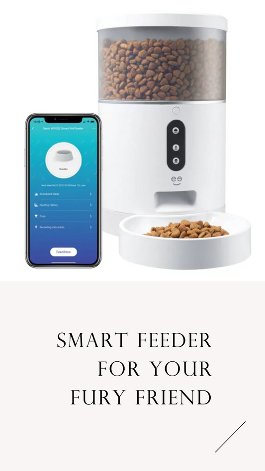 Automatic  Pet Feeder kickpet