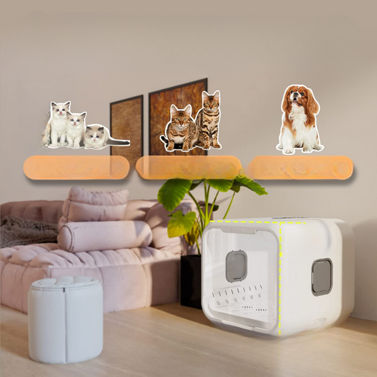 Automatic Pet Dryer Box kickpet