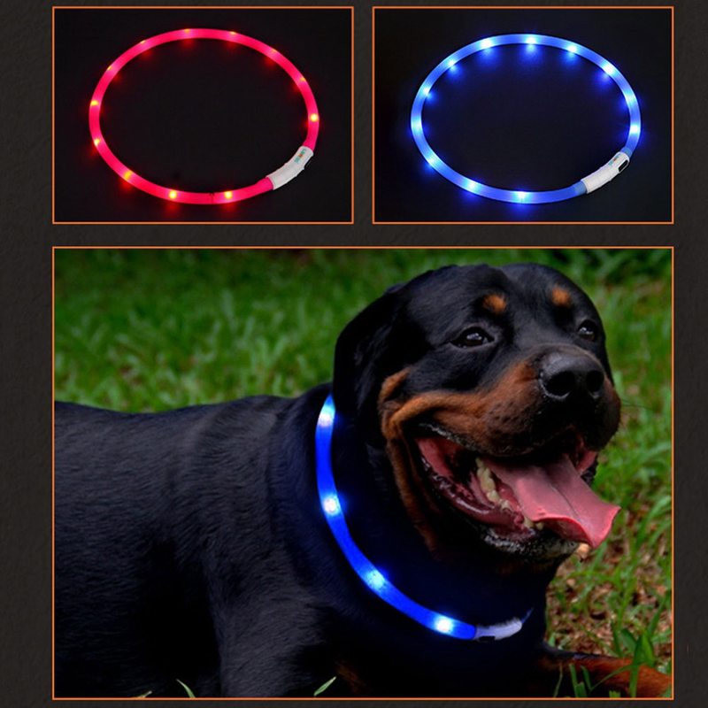 Pet Collar LED USB Rechargeable Adjustable Resizable Silicone Luminous Dog Collar For Pet Dog Cat Night Exercise Pet Accessories kickpet