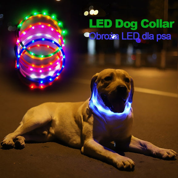 Pet Collar LED USB Rechargeable Adjustable Resizable Silicone Luminous Dog Collar For Pet Dog Cat Night Exercise Pet Accessories kickpet