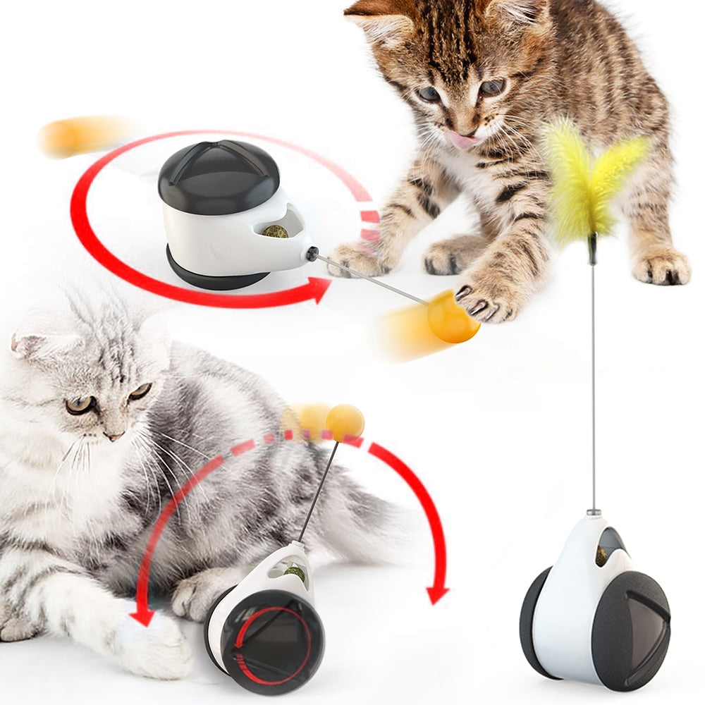 Tumbler Swing Interactive Balance Car Cat Chasing Catnip pet b5 2