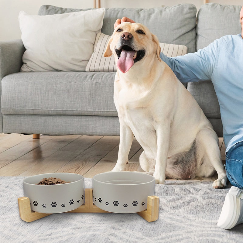 Puppy Drink Feed Bowl With Wood Stand pet b5 2