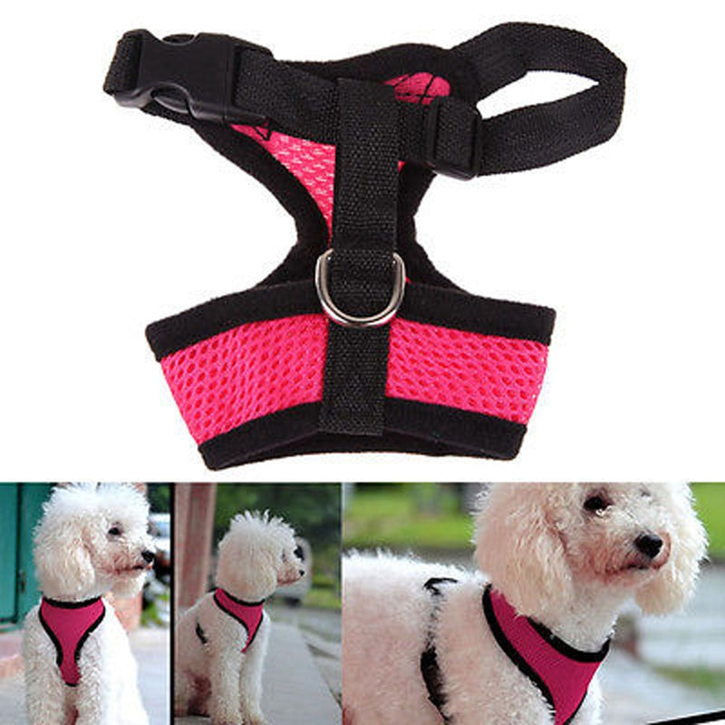 Pet Adjustable Safety  Control Harness Collar pet b5 2